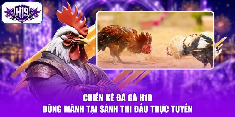 Chiến kê Đá Gà H19 dũng mãnh tại sảnh thi đấu trực tuyến