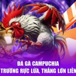 Đá Gà Campuchia - Đấu Trường Rực Lửa, Thắng Lớn Liền Tay