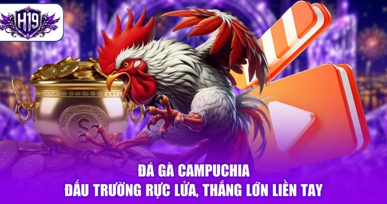 Đá Gà Campuchia - Đấu Trường Rực Lửa, Thắng Lớn Liền Tay