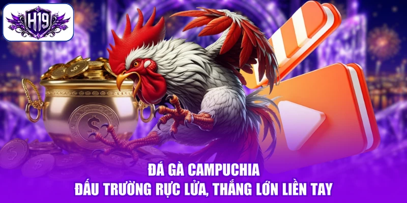 Đá Gà Campuchia - Đấu Trường Rực Lửa, Thắng Lớn Liền Tay