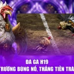 Đá Gà H19 - Đấu Trường Bùng Nổ, Thắng Tiền Tràn Trề
