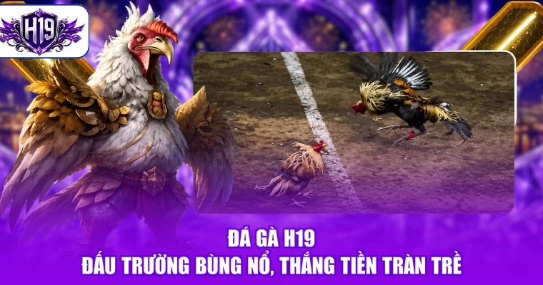 Đá Gà H19 - Đấu Trường Bùng Nổ, Thắng Tiền Tràn Trề