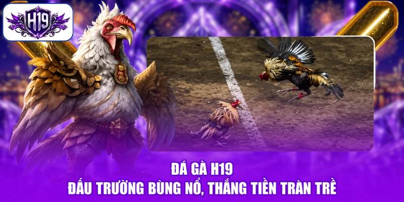 Đá Gà H19 - Đấu Trường Bùng Nổ, Thắng Tiền Tràn Trề