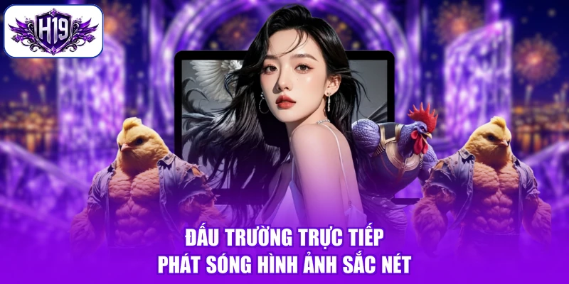 Đấu trường trực tiếp phát sóng hình ảnh sắc nét