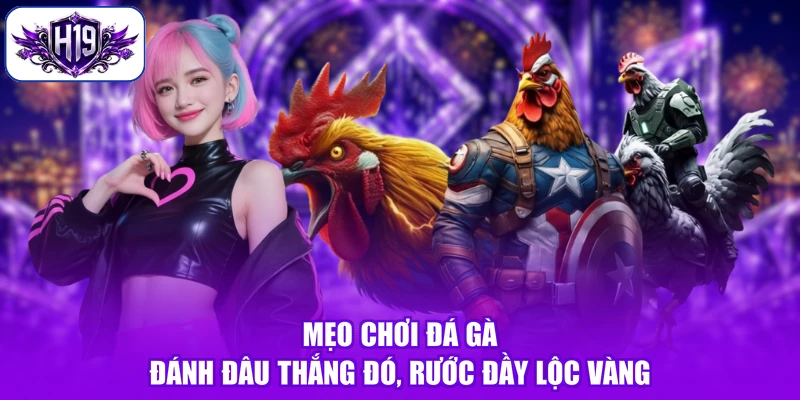 Mẹo Chơi Đá Gà - Đánh Đâu Thắng Đó, Rước Đầy Lộc Vàng