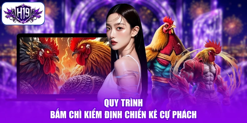 Quy trình bấm chì kiểm định chiến kê cự phách