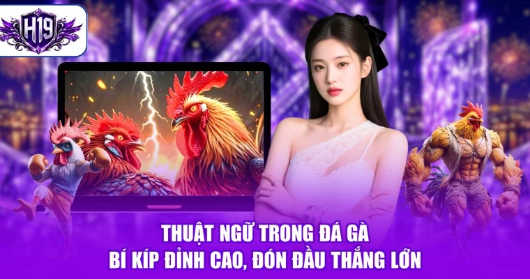 Thuật Ngữ Trong Đá Gà - Bí Kíp Đỉnh Cao, Đón Đầu Thắng Lớn