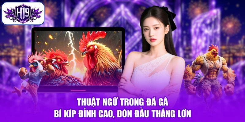 Thuật Ngữ Trong Đá Gà - Bí Kíp Đỉnh Cao, Đón Đầu Thắng Lớn