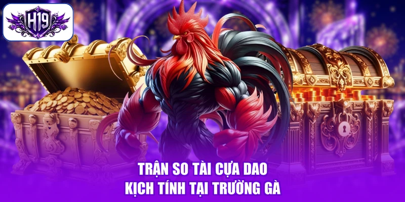 Trận so tài cựa dao kịch tính tại trường gà